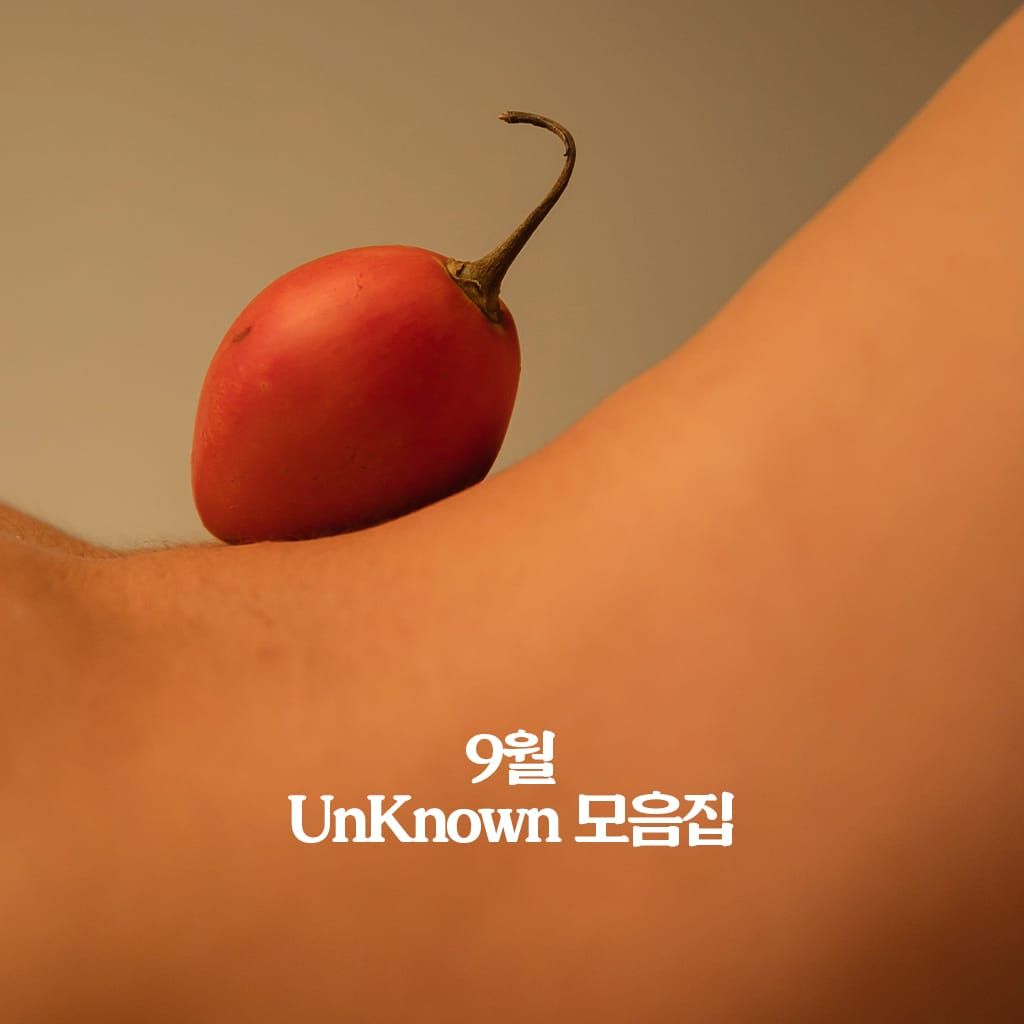 9월 UnKnown 모음집 poster