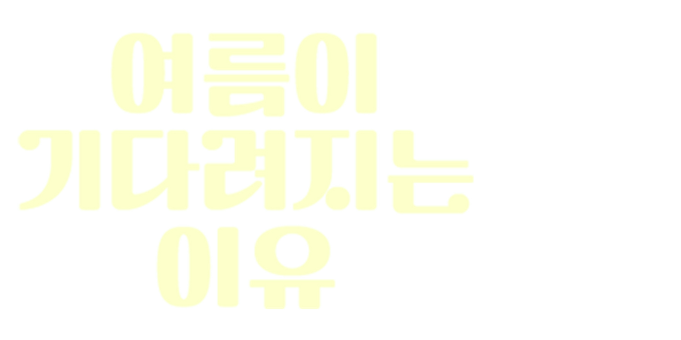 이번 주만 할인! 가격은 50% 설렘은 200%