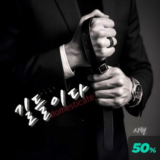 길들이다 poster