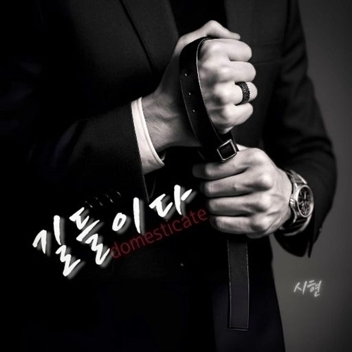 길들이다 poster