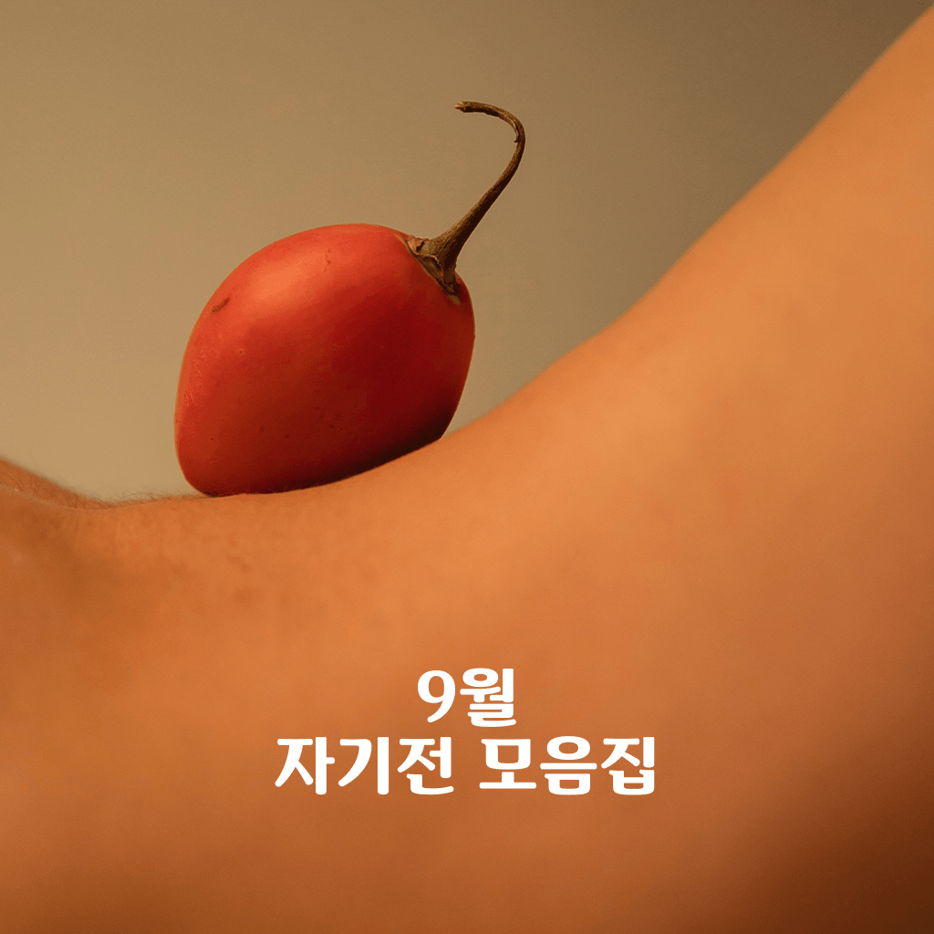 9월 자기전 모음집