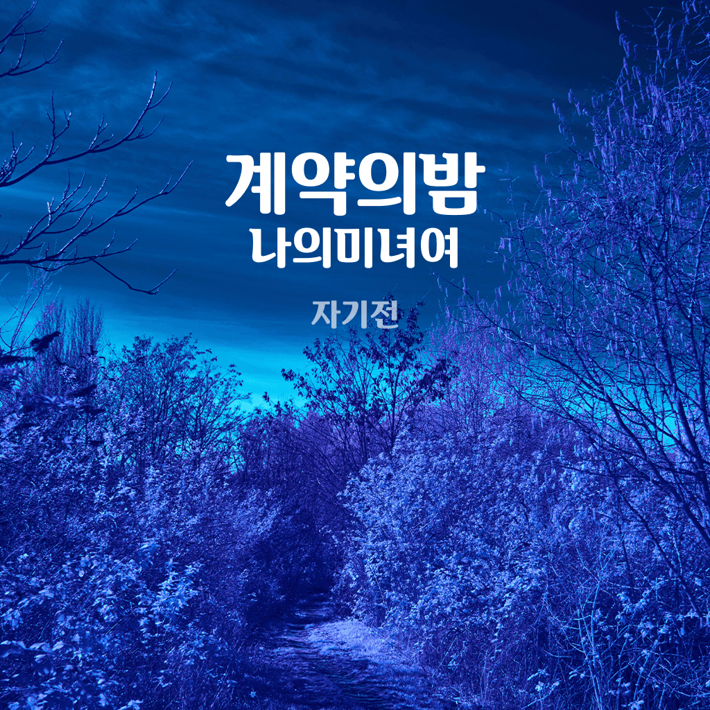 계약의 밤, 나의 마녀여  channel