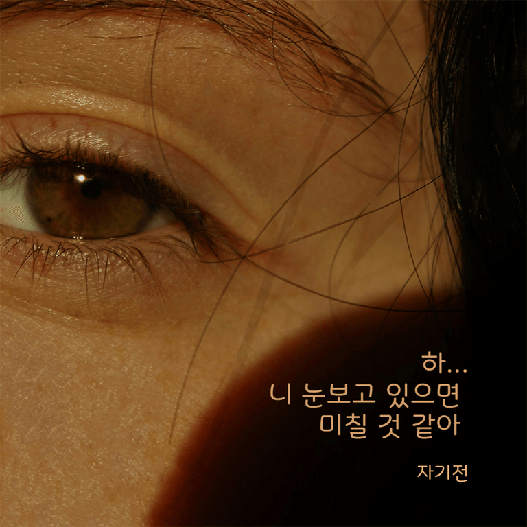 하... 니 눈 보고 있으면 미칠 것 같아 poster