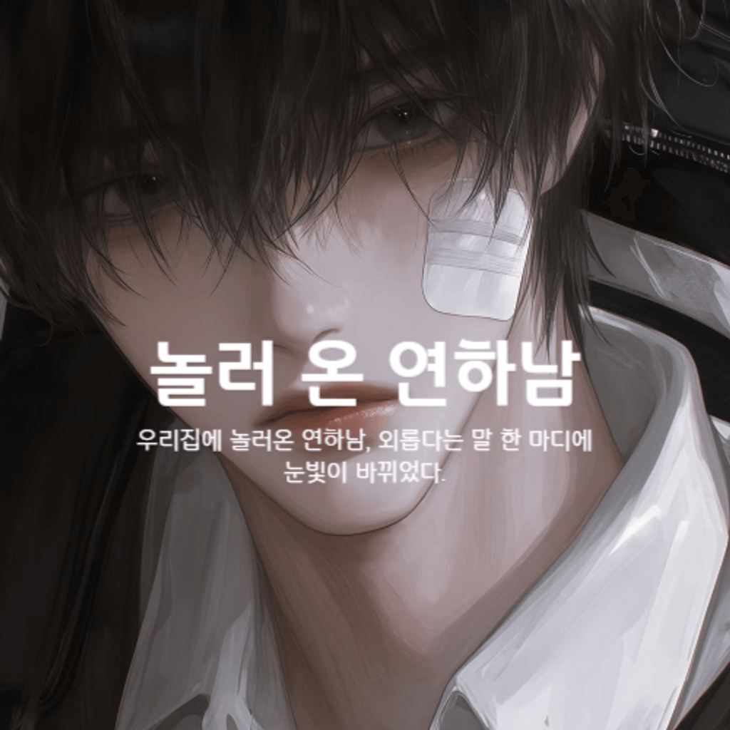 놀러 온 연하남 poster