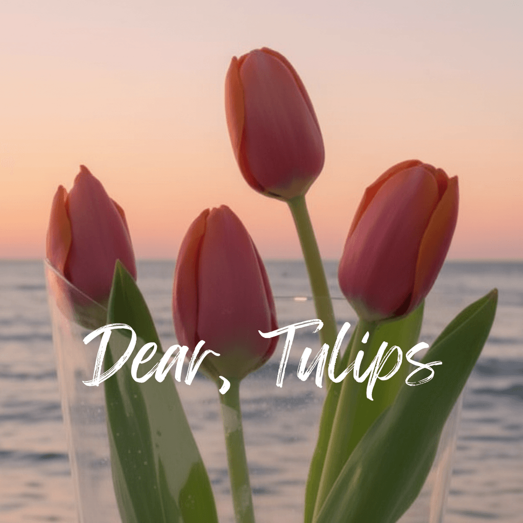 Dear, tulips poster