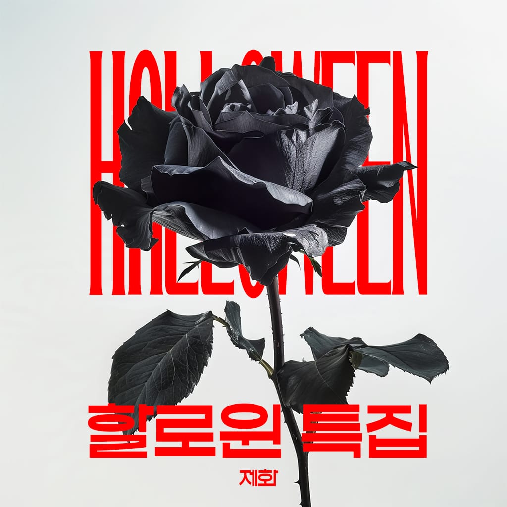 할로윈 특집