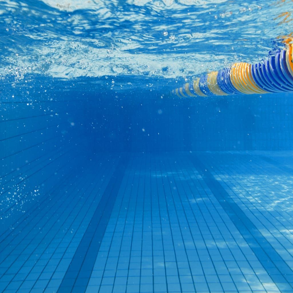 컬러제닉 캔디드 샷