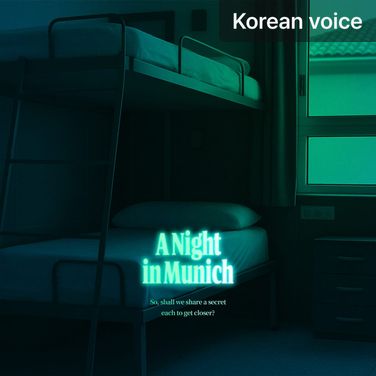 A Night in Munich poster