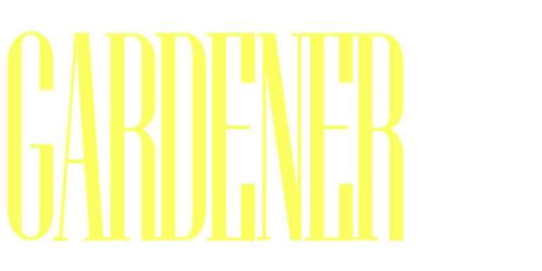 50% off popular stories this week only!