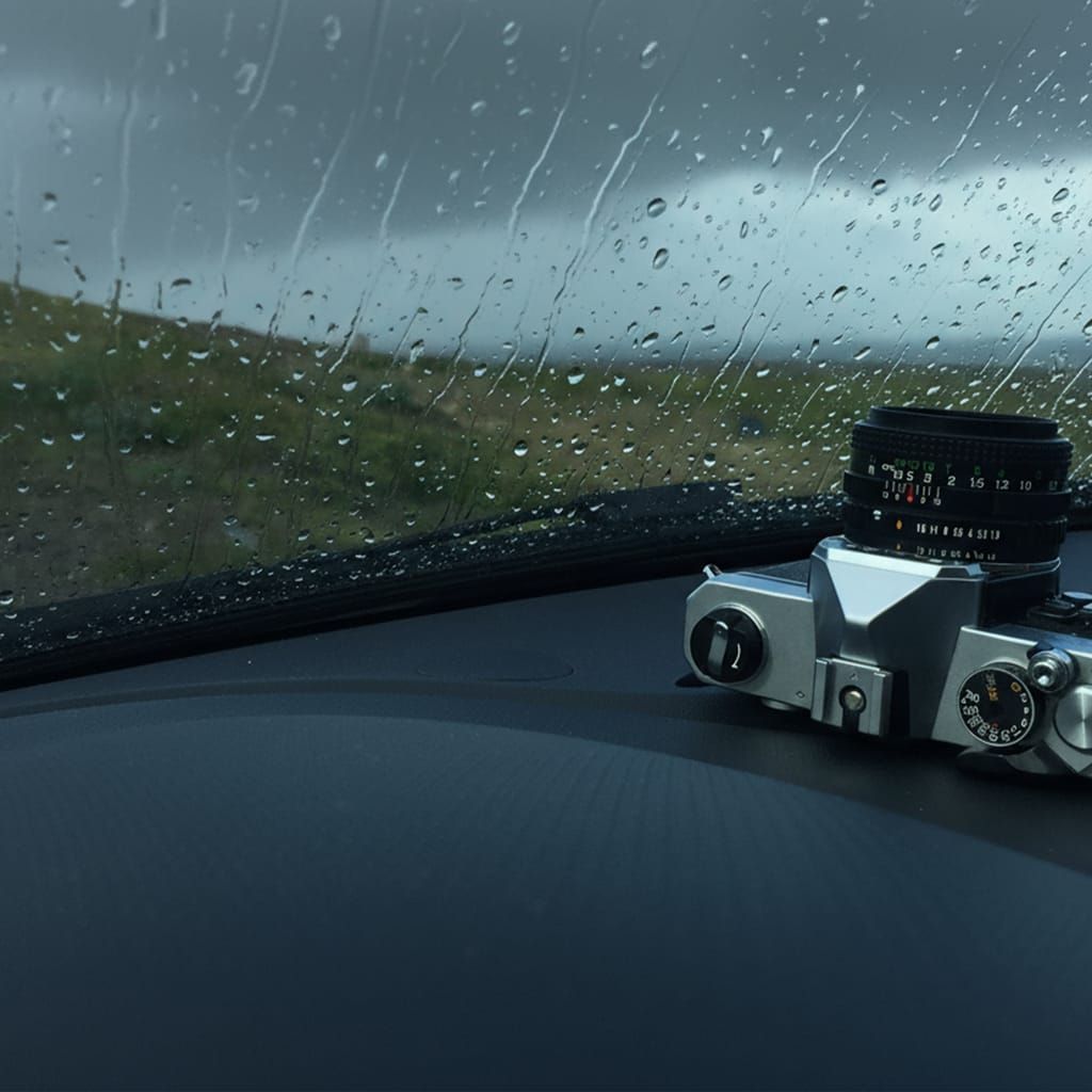 비에 젖은 필름