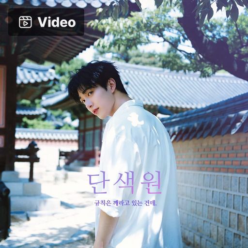 단색원 poster