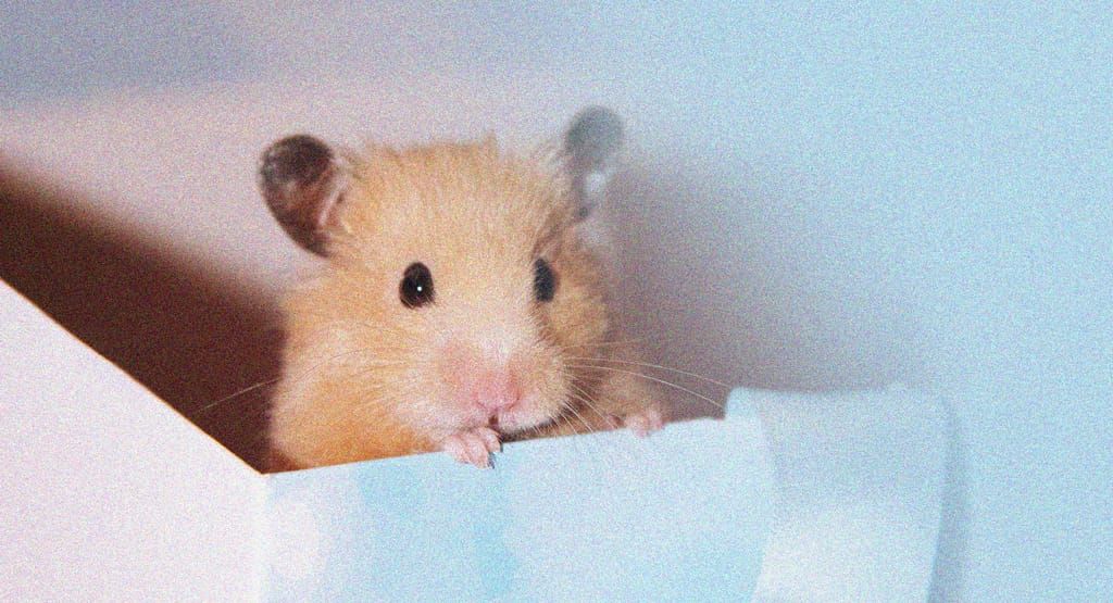 이번 주만 인기 스토리 무료!