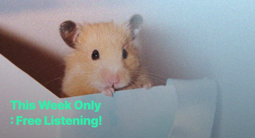 Free popular stories this week only!