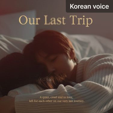 Our Last Trip poster