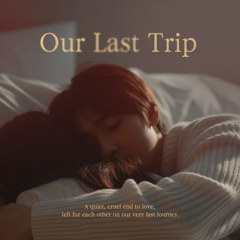 Our Last Trip poster