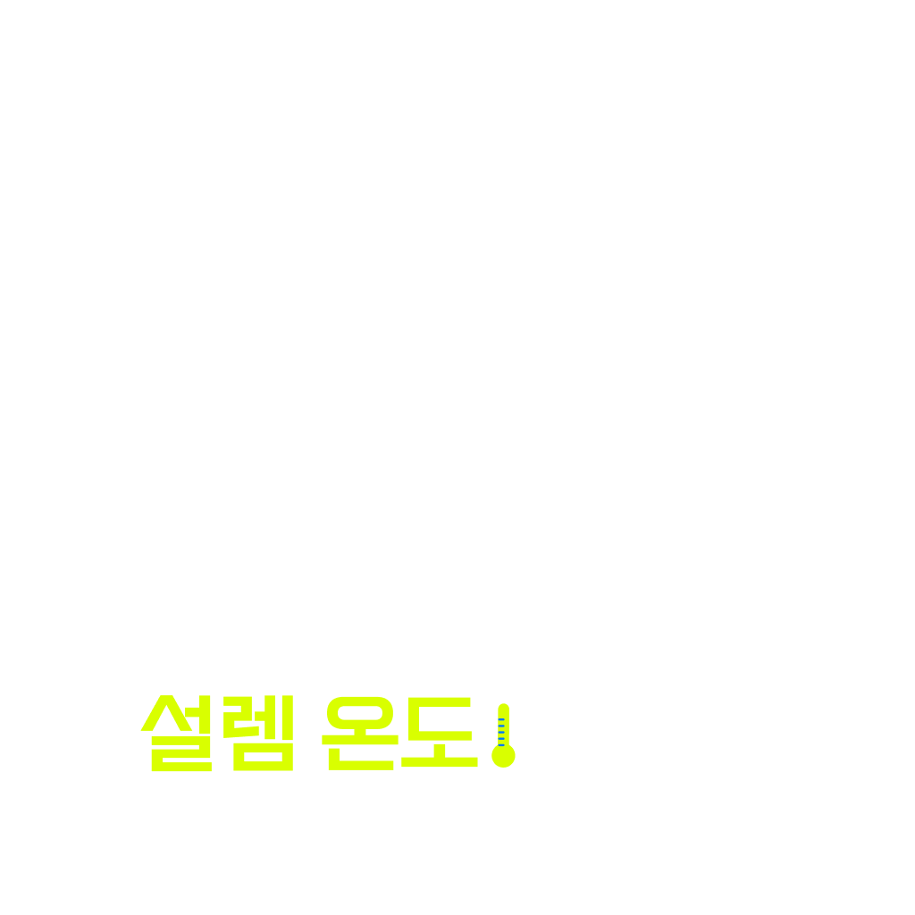 [공지] 플링 소장 CD 상세 안내