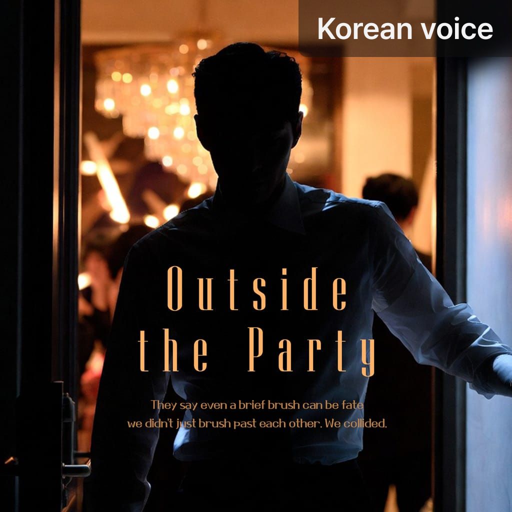 Outside the Party poster