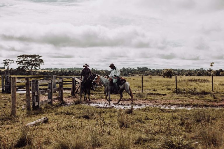 【1관】 시현 X 용호