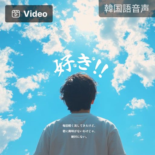好き!! poster