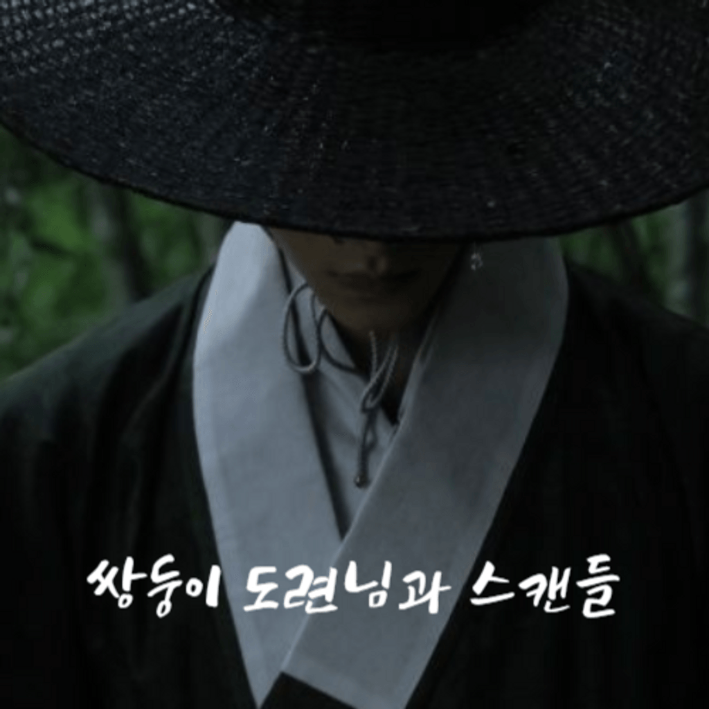 쌍둥이 도련님과 스캔들