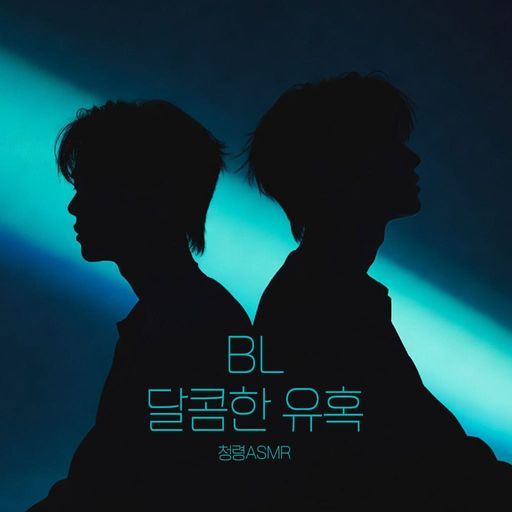 BL 달콤한 유혹 poster