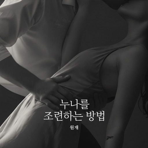 누나를 조련하는 방법 poster