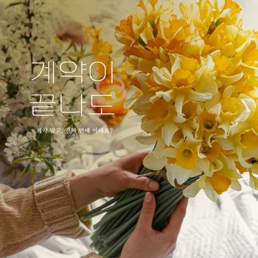 계약이 끝나도 : 2화 (완)