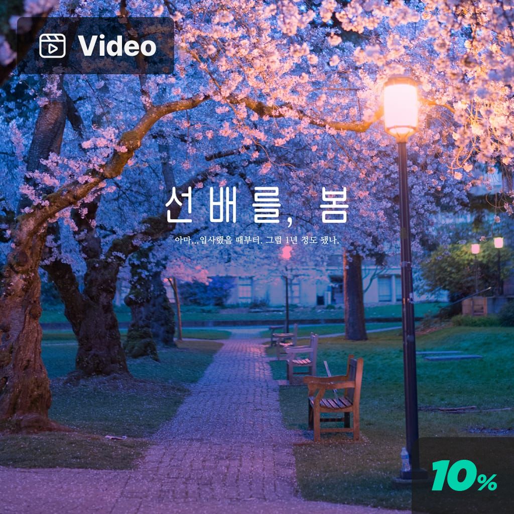 선배를, 봄 poster