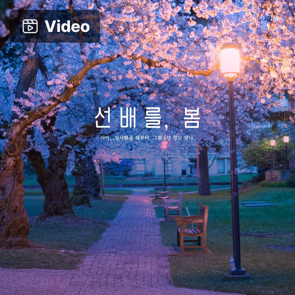 선배를, 봄 poster