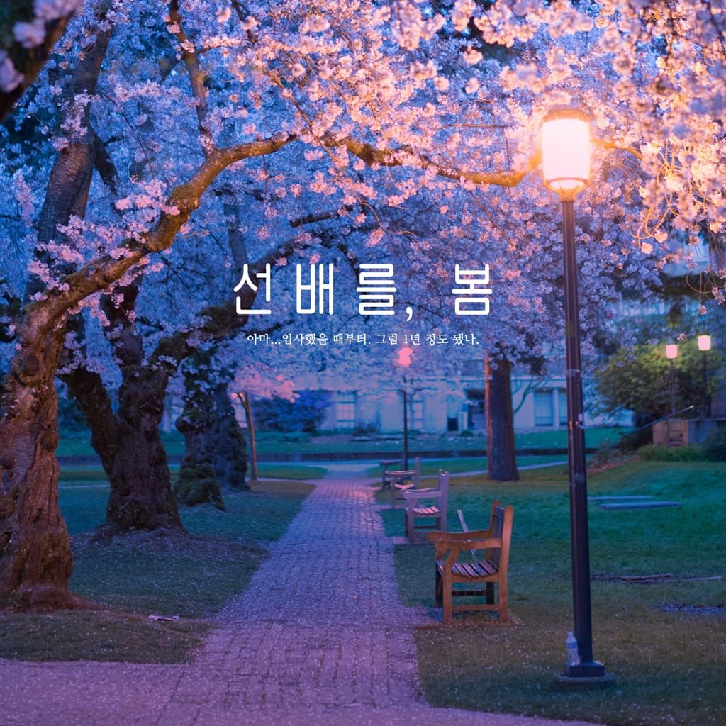 선배를, 봄 poster