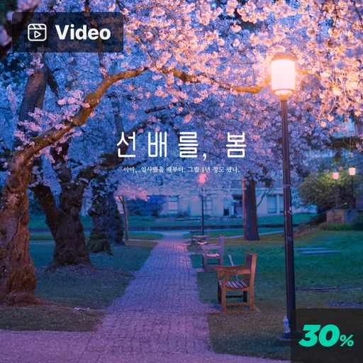 선배를, 봄 poster