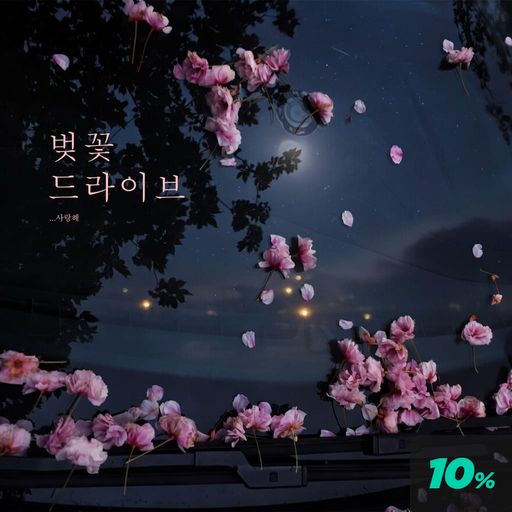 벚꽃 드라이브