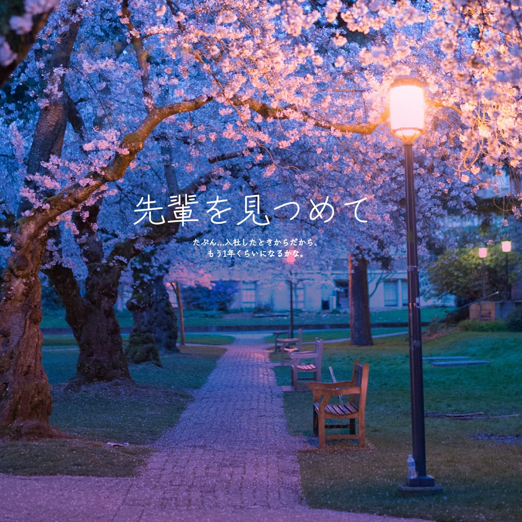 先輩を見つめて 