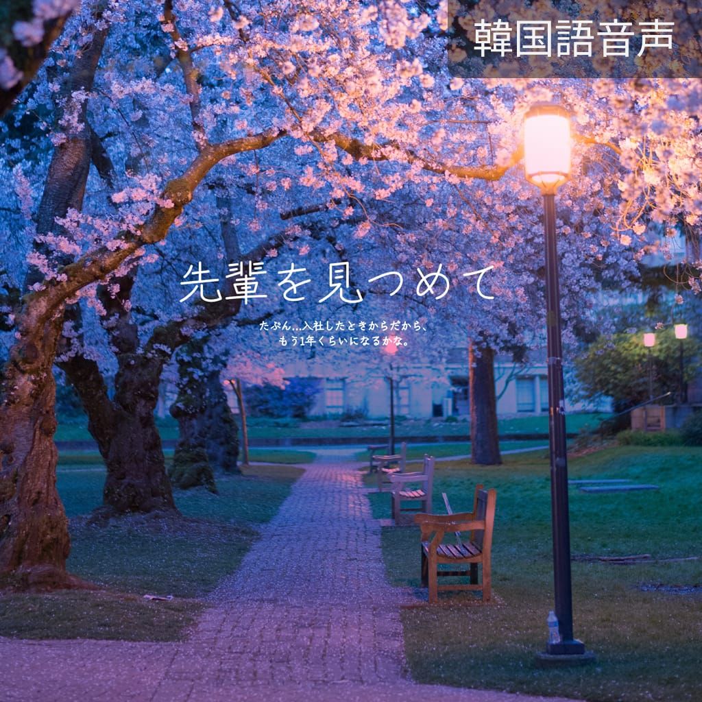 先輩を見つめて  poster