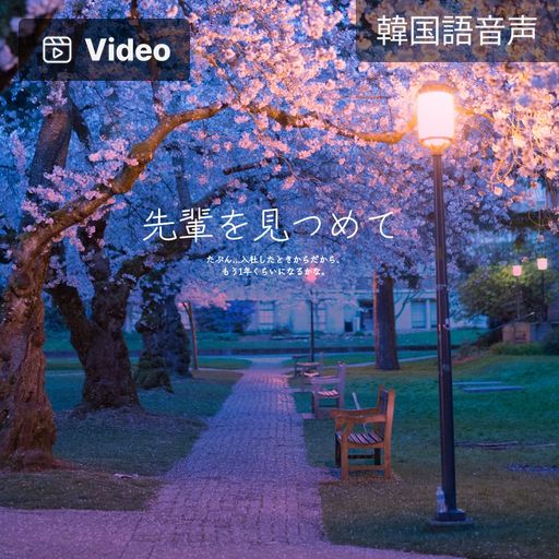 先輩を見つめて  poster