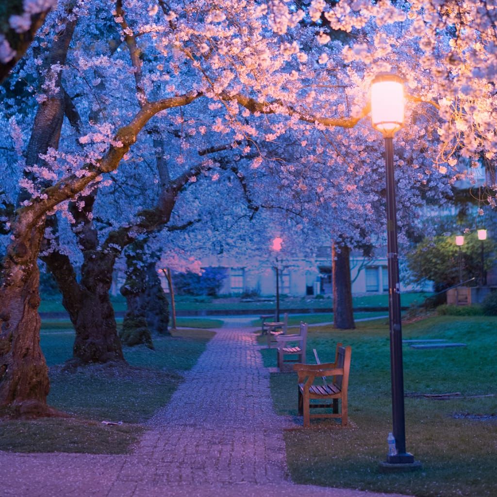 先輩を見つめて 