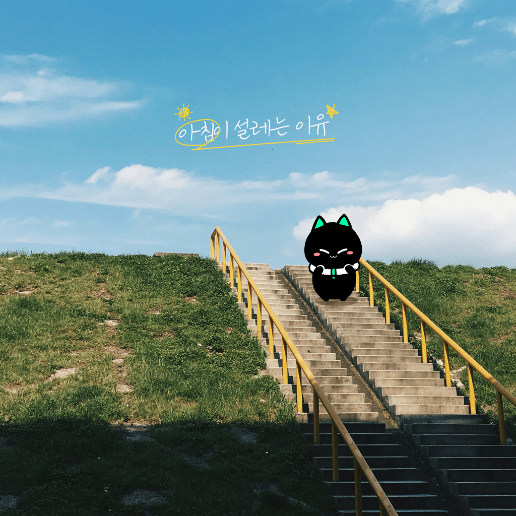 아침이 설레는 이유 poster