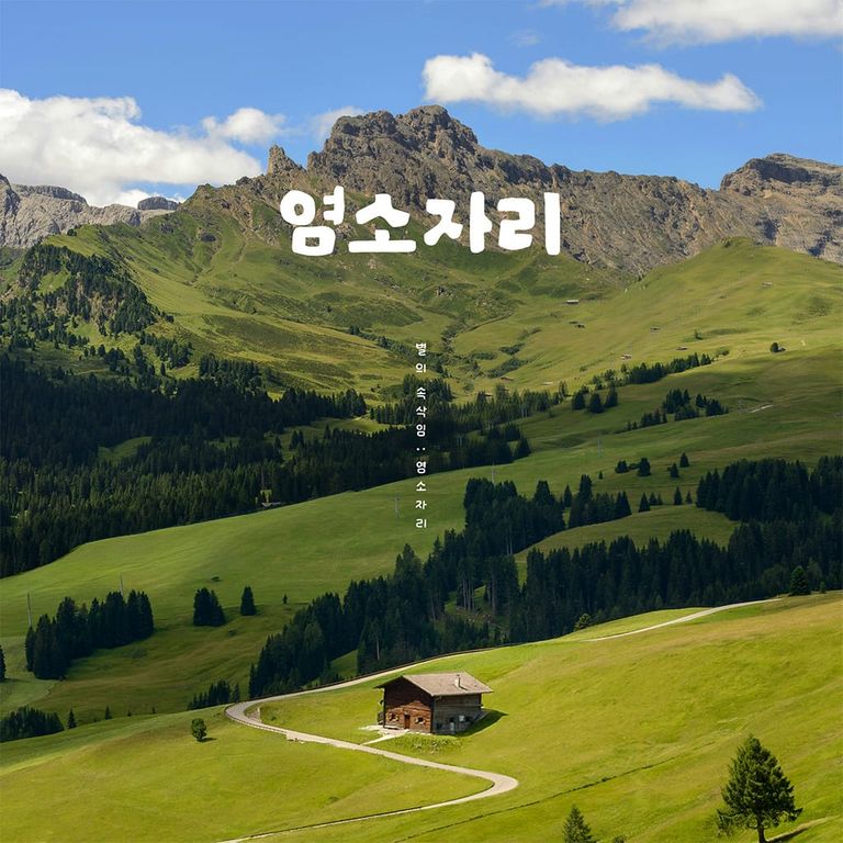 별의 속삭임 : 염소자리