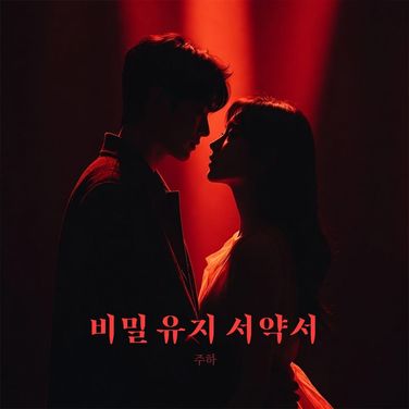 견고해지다