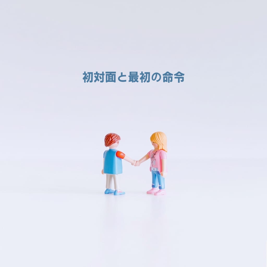 初対面と最初の命令