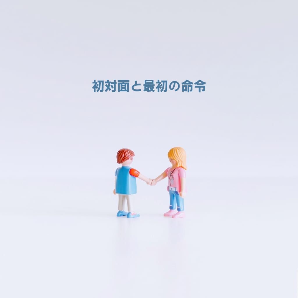 初対面と最初の命令 poster