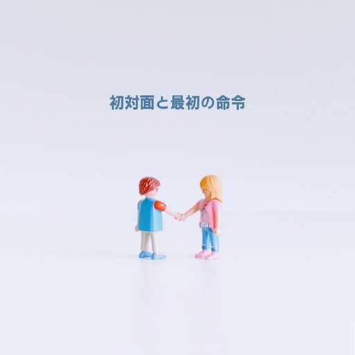 初対面と最初の命令 poster