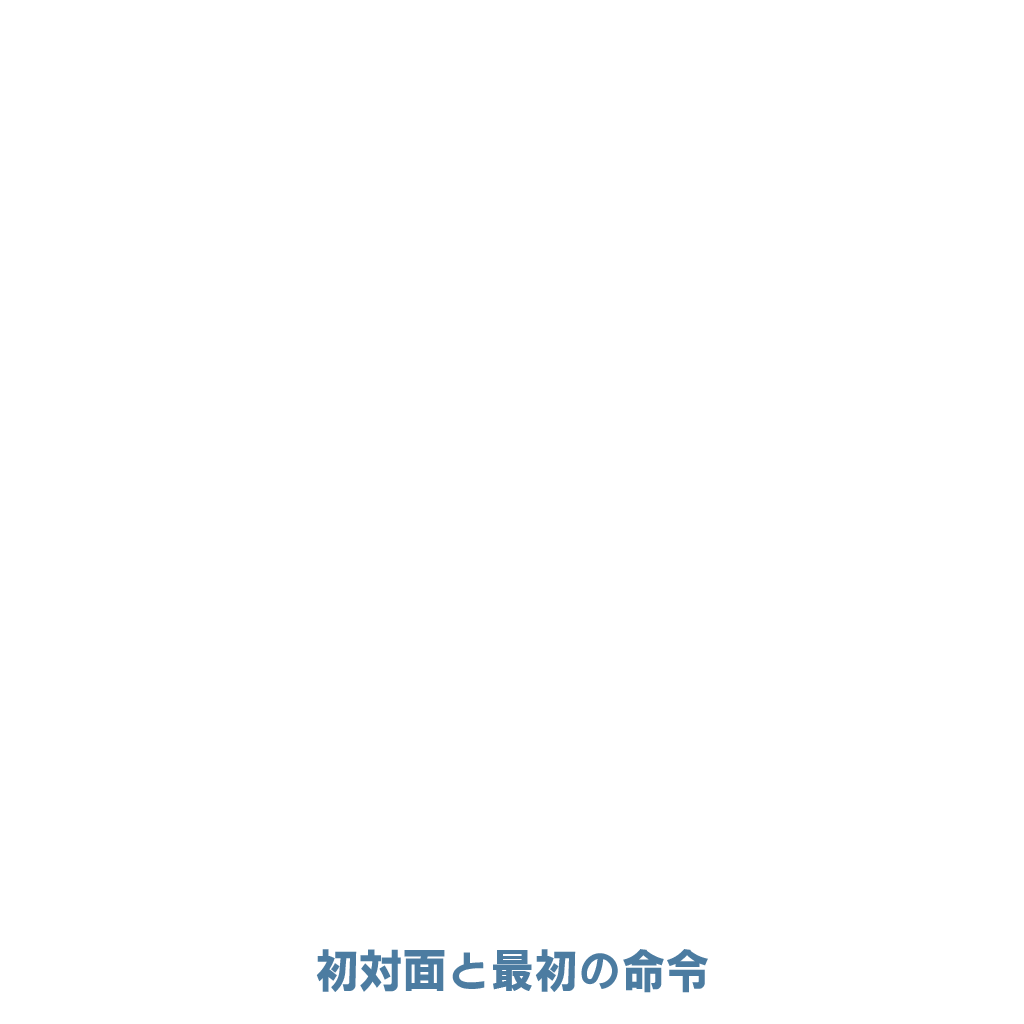 初対面と最初の命令