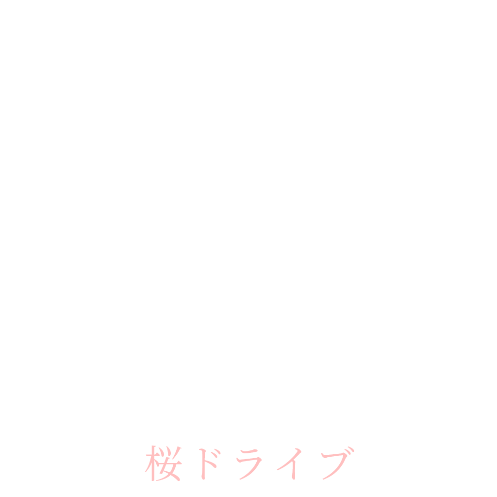 桜ドライブ