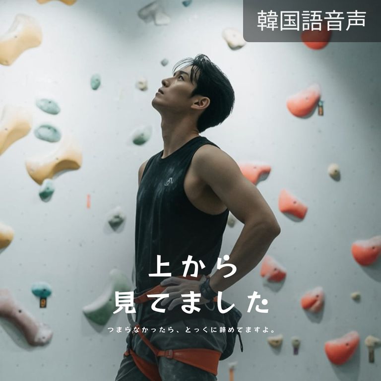 上から見てました