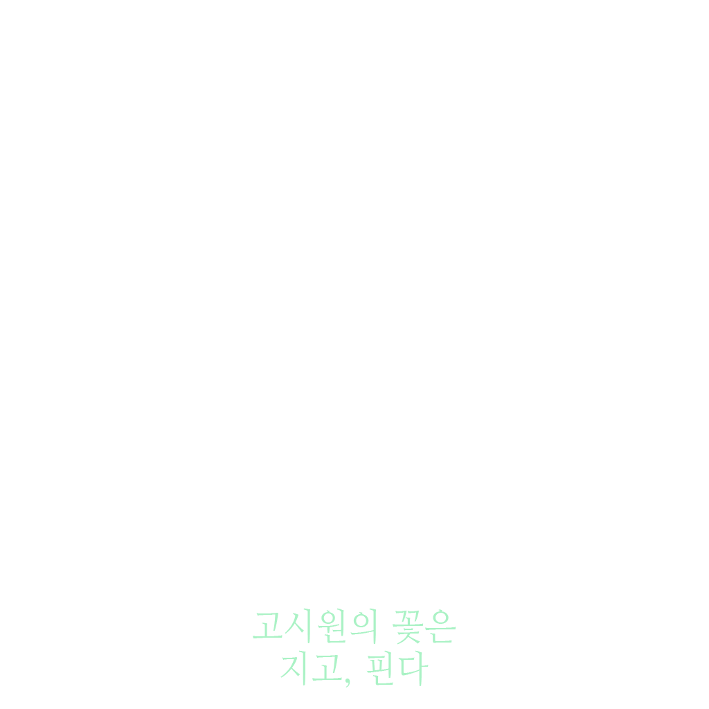 고시원의 꽃은 지고, 핀다