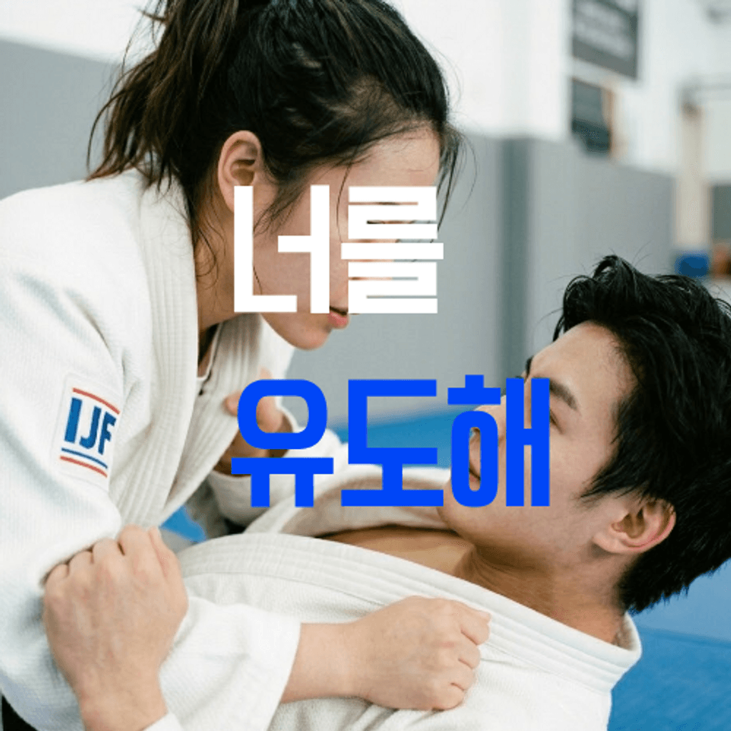 너를 유도해 poster