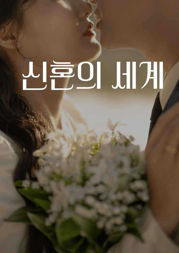신혼의 세계 poster