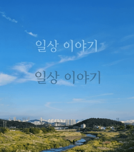 일상 이야기_RN poster