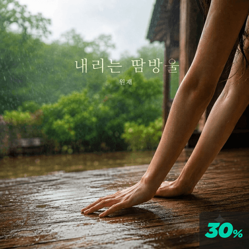 내리는 땀방울 poster